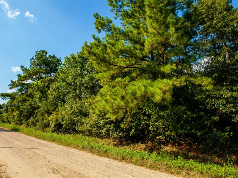 Lot with Utilities & Road Frontage : Livingston : Polk County : Texas