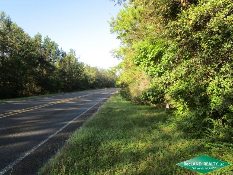 9.66 Ac, Wooded Tract in Town To : Buna : Jasper County : Texas