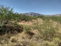 4+ Acre Dream Home Corner Lot : Cochise : Arizona