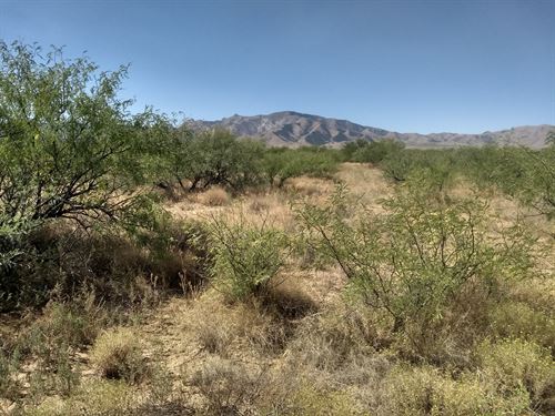 4+ Acre Dream Home Corner Lot : Cochise : Arizona
