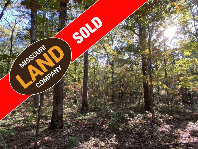 Phelps County Timbered Acres : Saint James : Phelps County : Missouri