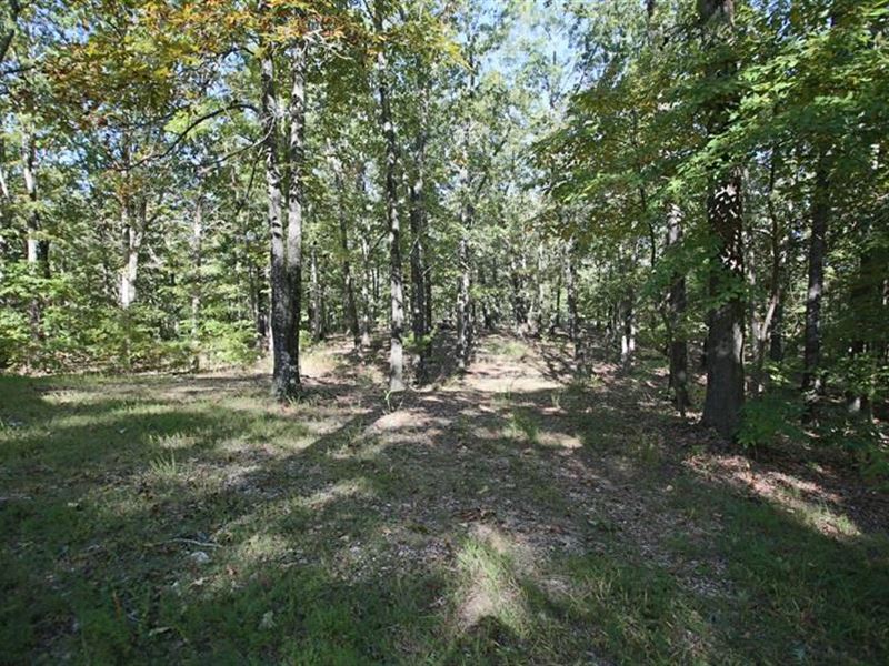 Prime Location Country Club Area : West Plains : Howell County : Missouri