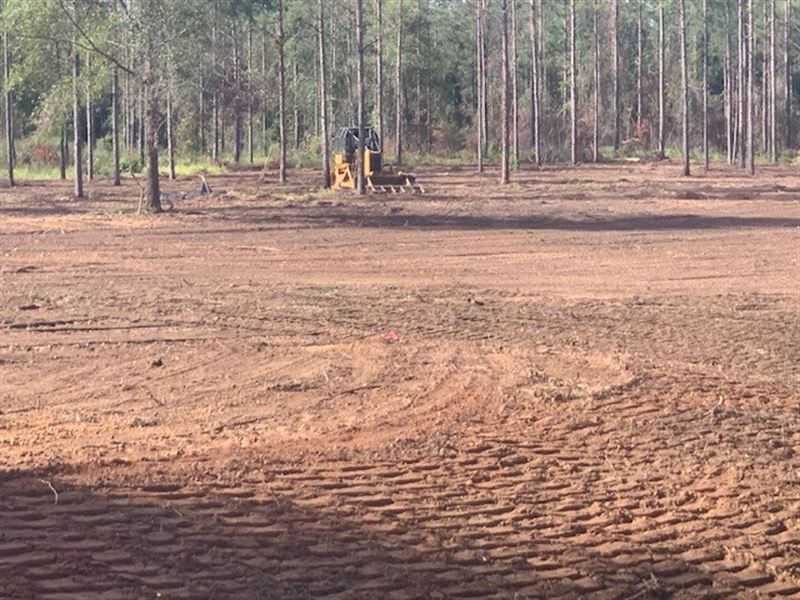 Land in Henry County Alabama : Headland : Henry County : Alabama