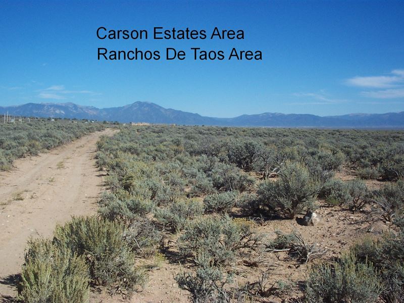 Carson National Forest, Nice Road : Carson : Taos County : New Mexico