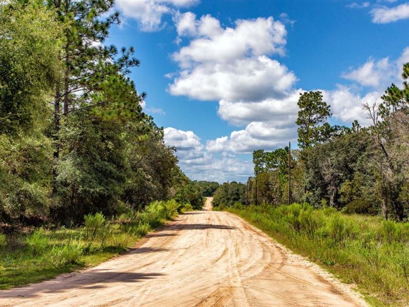 3.46 Acres in Hawthorne, FL : Hawthorne : Putnam County : Florida