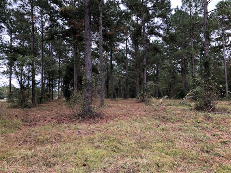 Residential Lots Available : Cochran : Bleckley County : Georgia