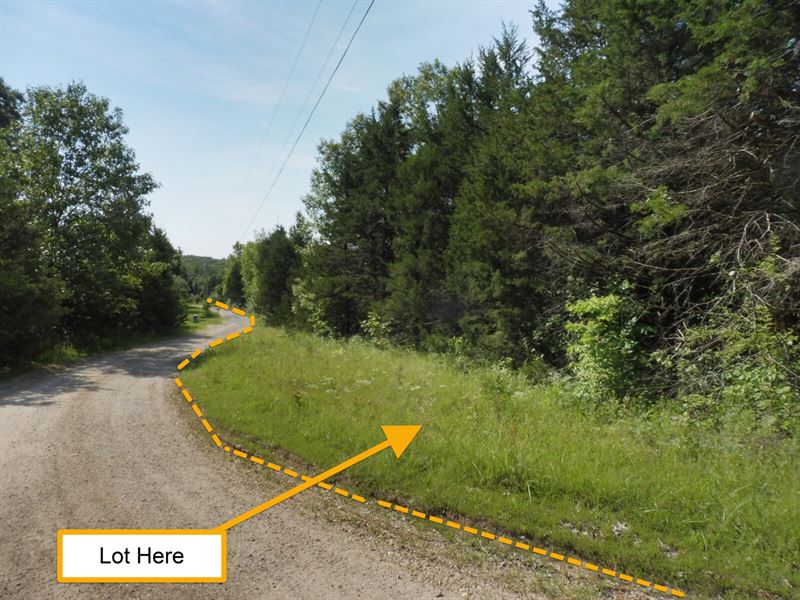 3.1 Private, Level, Wooded Acres : Williamsburg : Callaway County : Missouri