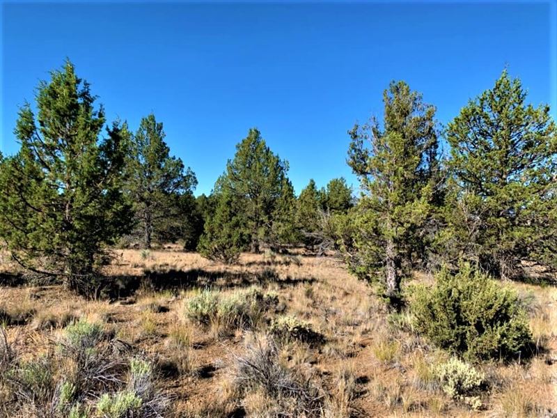 Return to Simpler Living, 3.1 Acres : Beatty : Klamath County : Oregon