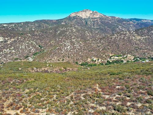 Escape The Insurrection : Alpine : San Diego County : California
