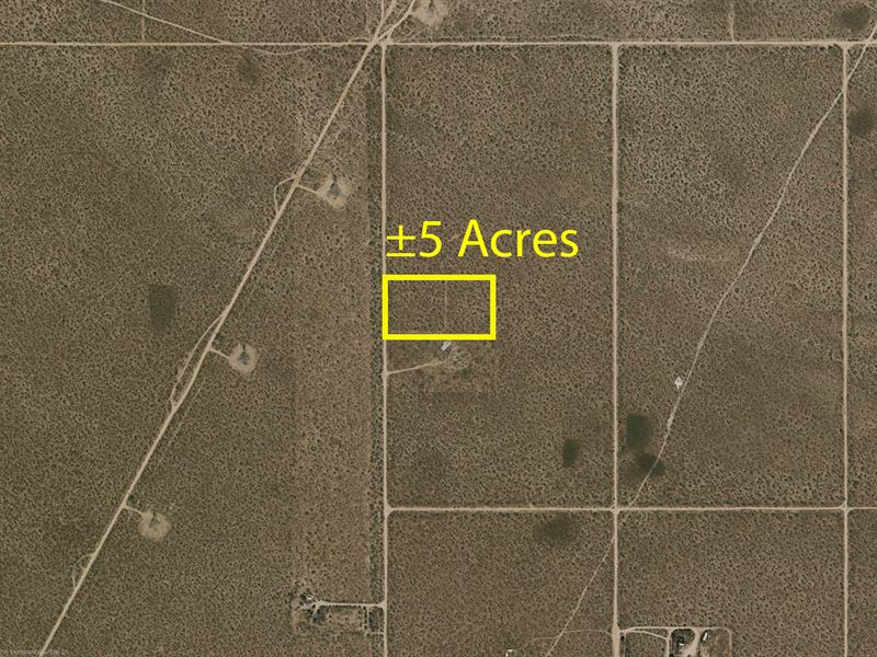 Low Reserve, 5 AC Kern County CA : Fremont Valley : Kern County : California