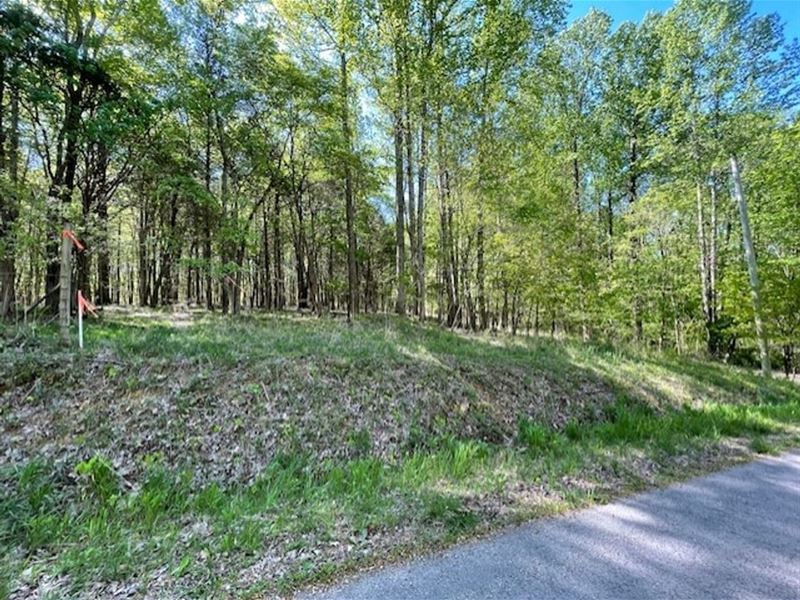 Nice 5 Acre Tract in Bethpage, TN : Bethpage : Sumner County : Tennessee