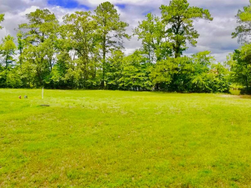 Waterfront Lot for Sale, Eastern NC : Belhaven : Beaufort County : North Carolina