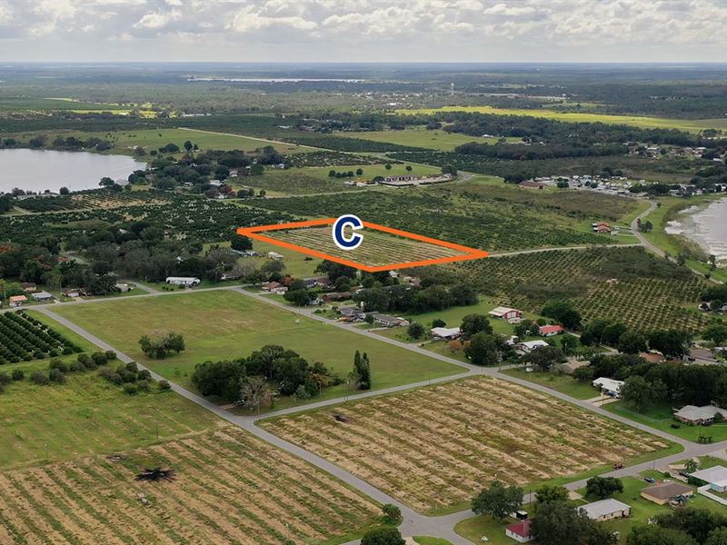 Frostproof Residential Acreage : Frostproof : Polk County : Florida