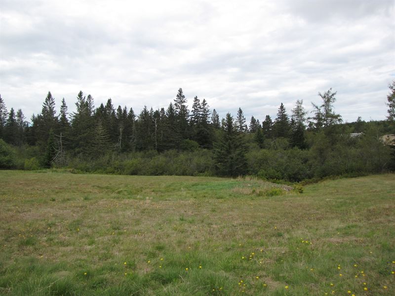 Buildable Land Lot Downeast Maine : Machias : Washington County : Maine