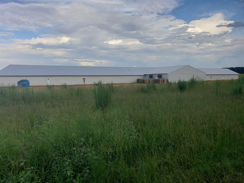 Great 4 House Poultry Breeder Farm : Oglethorpe : Macon County : Georgia