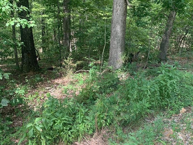 Tower Grove Cr-146 Trailer RV Lot 3 : Henderson : Baxter County : Arkansas