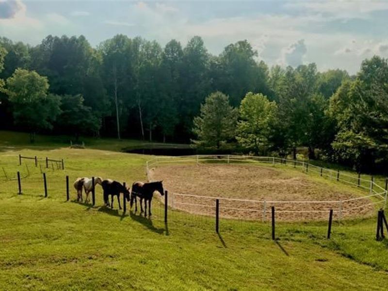 House, Land, Pond, Horse Barn : Alton : Halifax County : Virginia