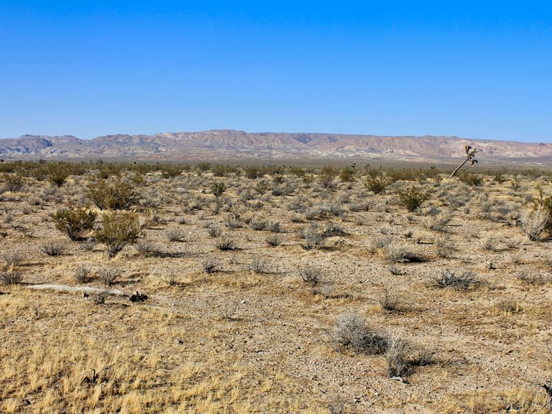 Santa Scores : Barstow : San Bernardino County : California