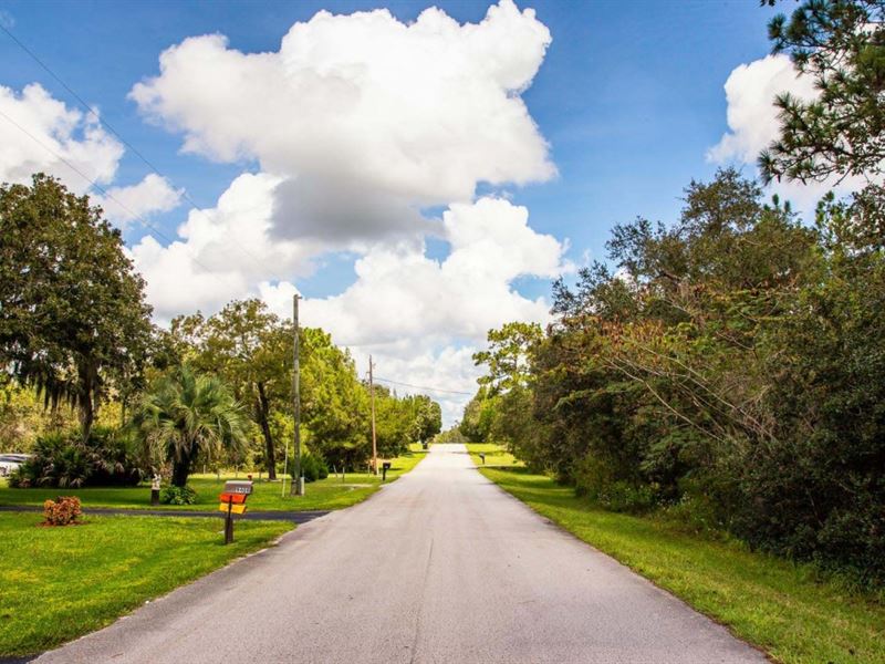 Owner Finance 2.34 Ac Citrus County : Homosassa : Citrus County : Florida