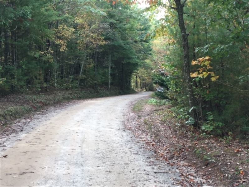 Residential Lot Near Lake Rabun : Lakemont : Rabun County : Georgia