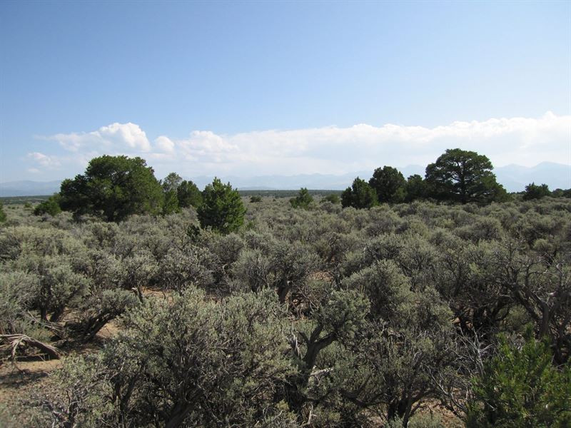 Peaceful Spot to Camp or Build : San Luis : Costilla County : Colorado