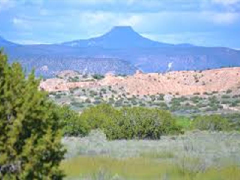 10 Private Acres in Cochise County : Cochise : Cochise County : Arizona