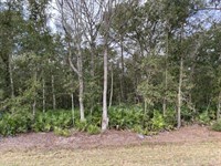 Highway 82 Tract : Saint Simons : Glynn County : Georgia