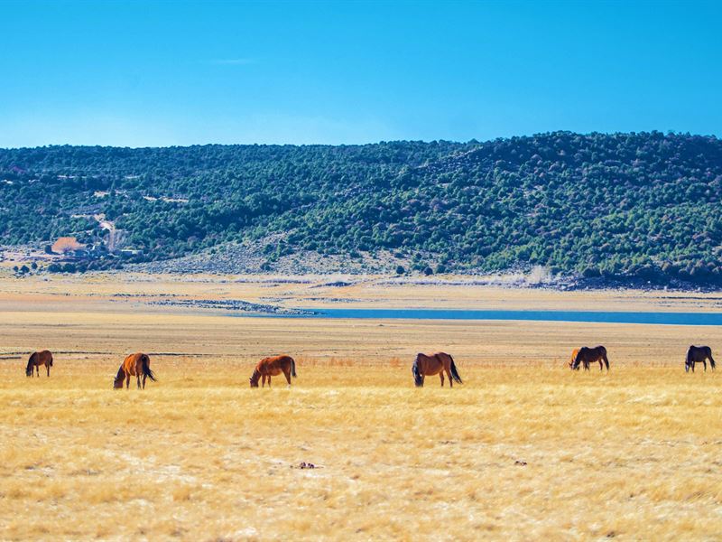 2.68 Acres Homesite Costilla : San Luis : Costilla County : Colorado