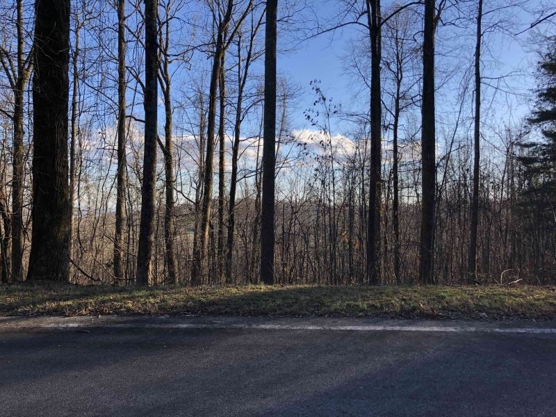 Residential Lot Cliffs At Glassy Lo : Landrum : Greenville County : South Carolina