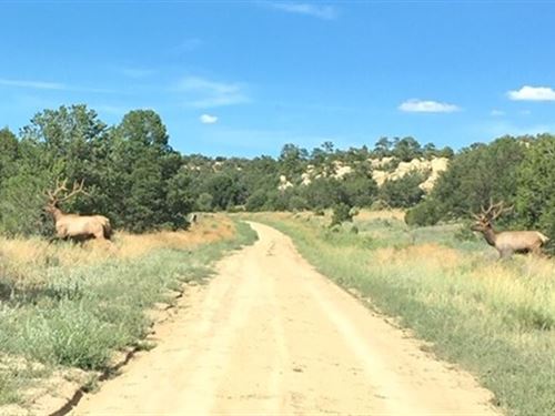 Candy Kitchen, W Central New Mexico : Candy Kitchen : Cibola County : New Mexico
