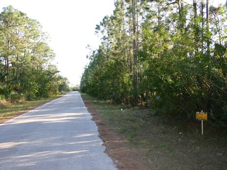 .23 Acre Lot : Palm Bay : Brevard County : Florida