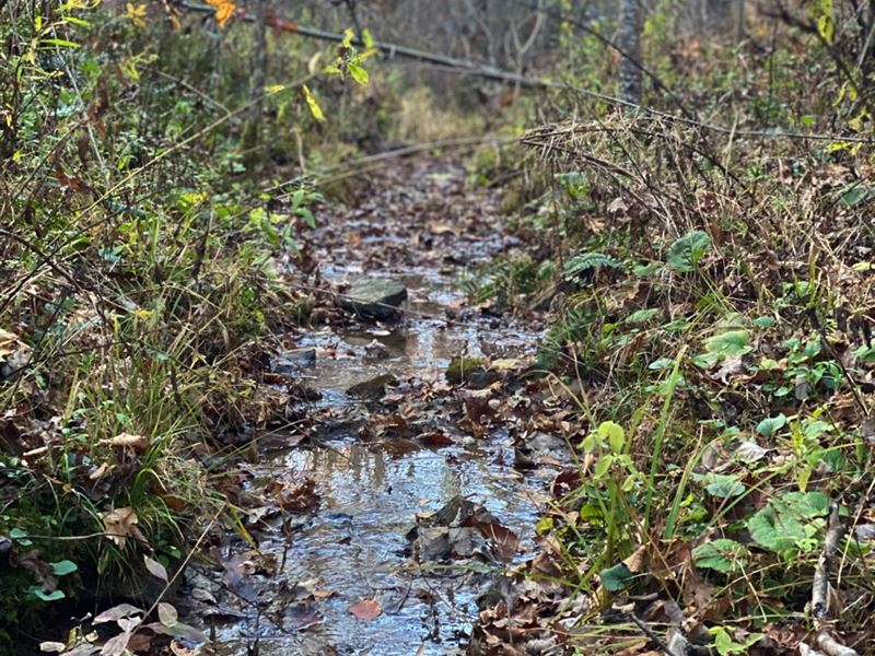 Owner Financing 8 Tracts Available : Annville : Jackson County : Kentucky