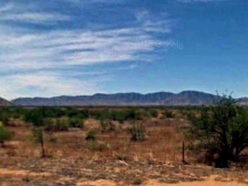 Invest in Land Only $99 Down : Black Diamond : Cochise County : Arizona