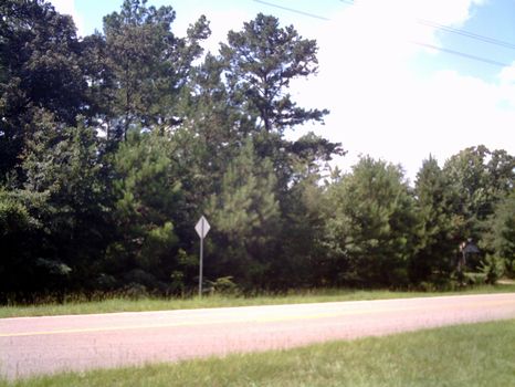 Wooded Lot near Andalusia : Andalusia : Covington County : Alabama