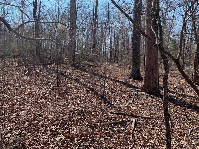 No Restriction Lot 22 in Henderson : Henderson : Baxter County : Arkansas