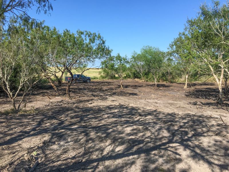 Schaffer Ranch Estates, Tract M : Orange Grove : Jim Wells County : Texas