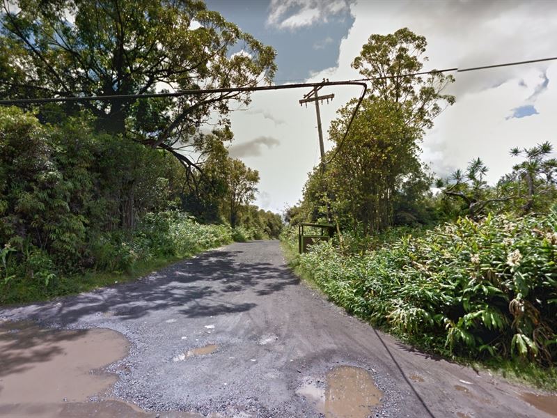 1 Lot in Hawaiian Island Paradise : Mountain View : Hawaii County : Hawaii