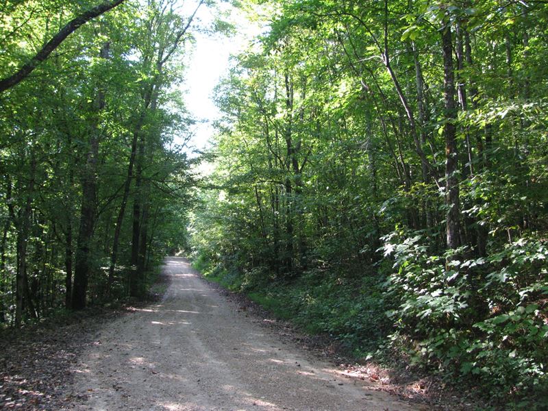 Land Tennessee, Owner Financing : Savannah : Hardin County : Tennessee