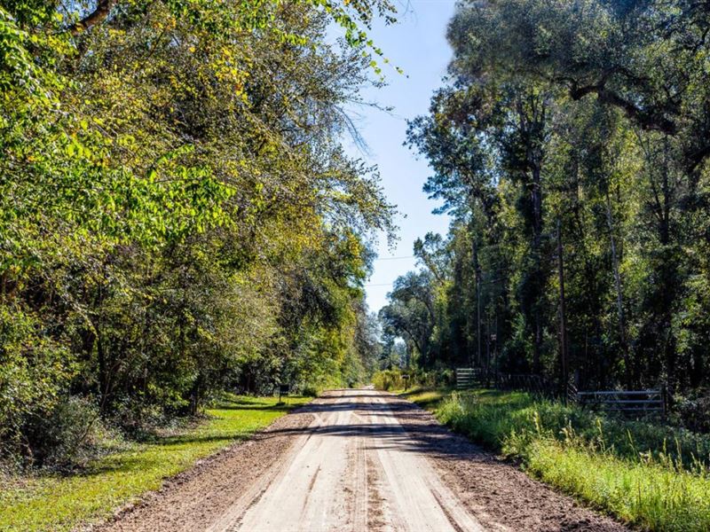 9 Ac, No Restriction, Owner Finance : Live Oak : Suwannee County : Florida