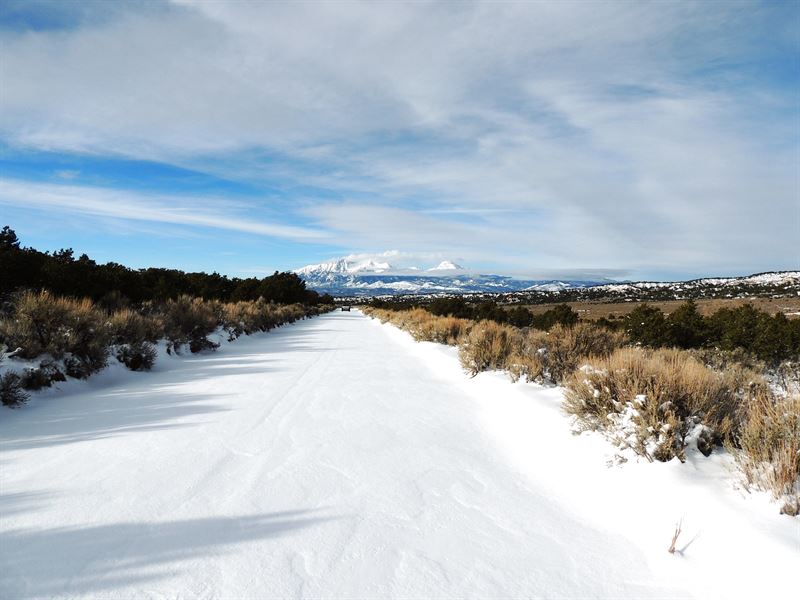 4.9 Acres, Fishing, Wildlife, Views : Fort Garland : Costilla County : Colorado