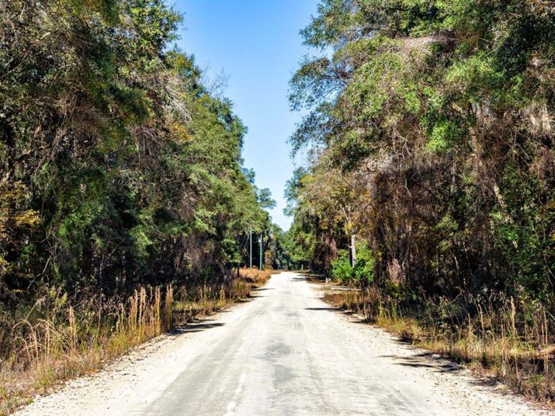 2.4 Acres in Old Town, FL : Old Town : Dixie County : Florida