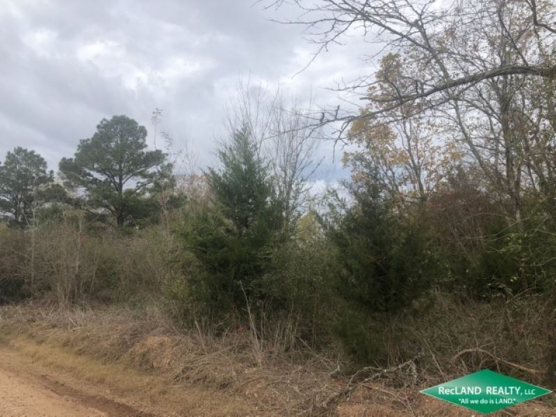 Lots, Two Wooded Lots for Camp Or : Marksville : Avoyelles Parish : Louisiana
