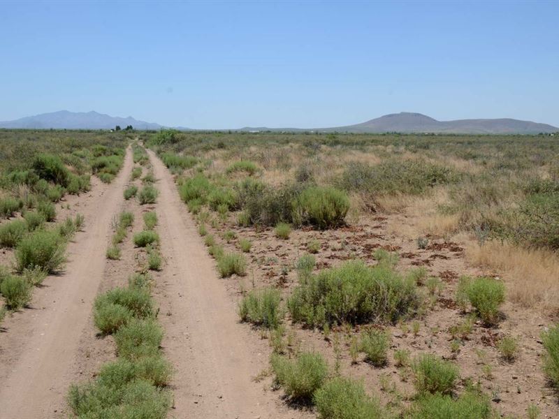 Ru-4, Med Can Approve, $275/Mo : Sunizona : Cochise County : Arizona