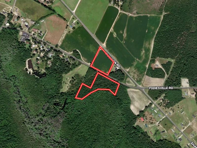 9.63 Acres of Tim : Shannon : Robeson County : North Carolina