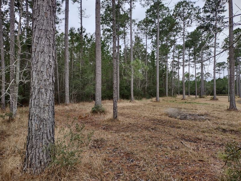 Waterview Lot in Beaufort County NC : Aurora : Beaufort County : North Carolina