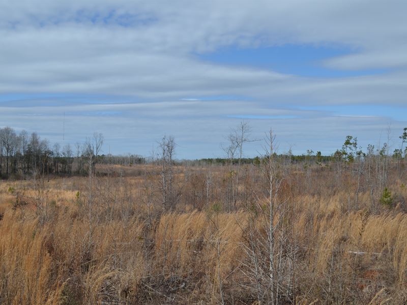 Gold Hill Lots, Lee County : Opelika : Lee County : Alabama
