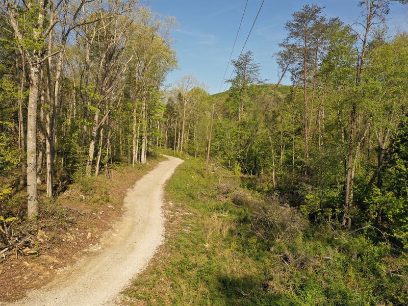 Creek View Lots : Somerset : Pulaski County : Kentucky
