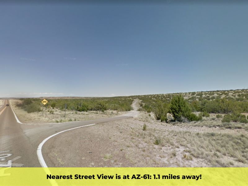 .25 Acre in Concho Valley : Concho : Apache County : Arizona