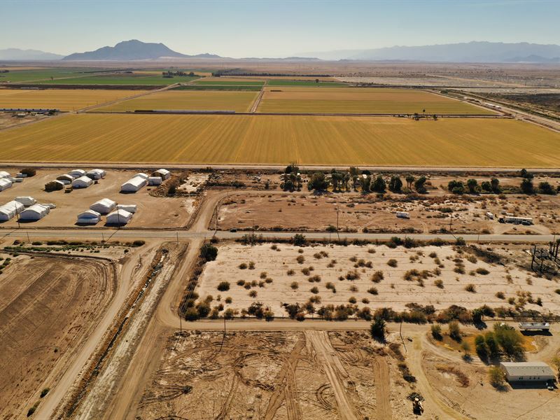 Heart Of Dixie Gem : Dixieland : Imperial County : California