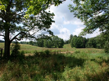 5 Acres- Catskill Skiing $24,900 : Jefferson : Schoharie County : New York